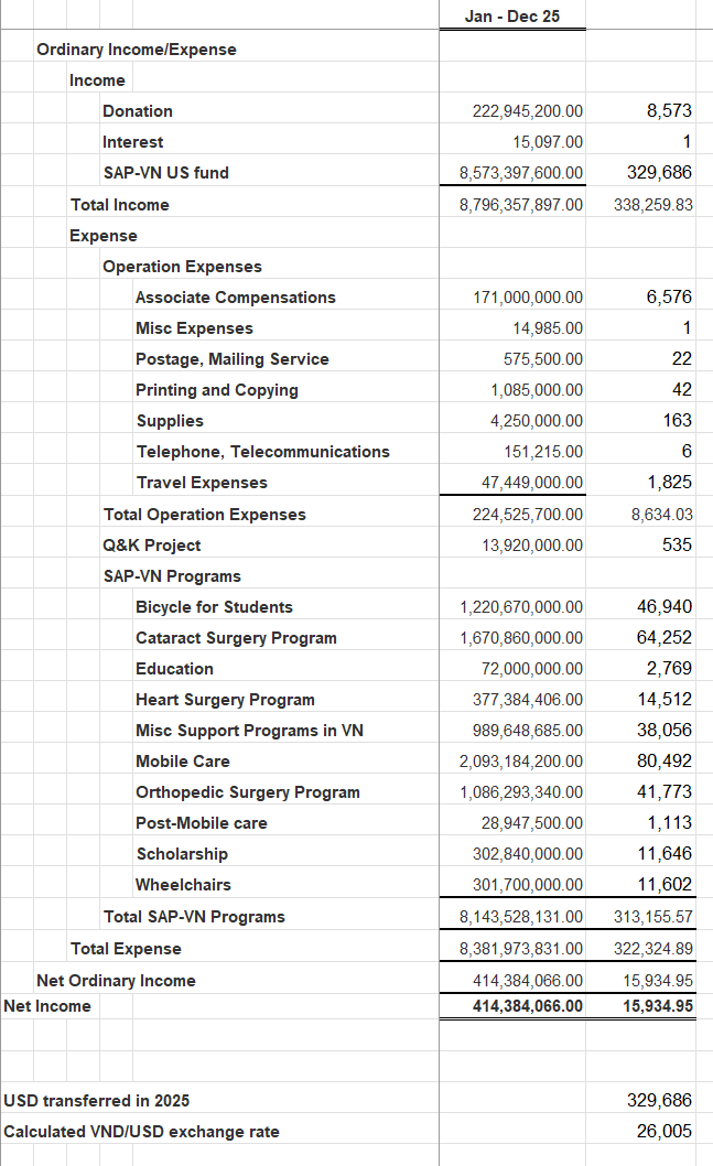 financial report 2025